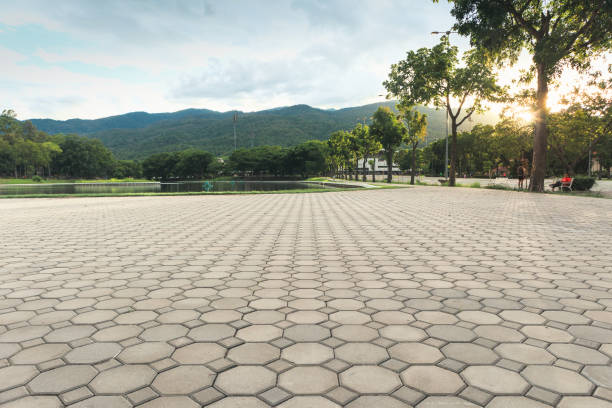 Best Decorative Driveway Pavers  in Riverview, DE